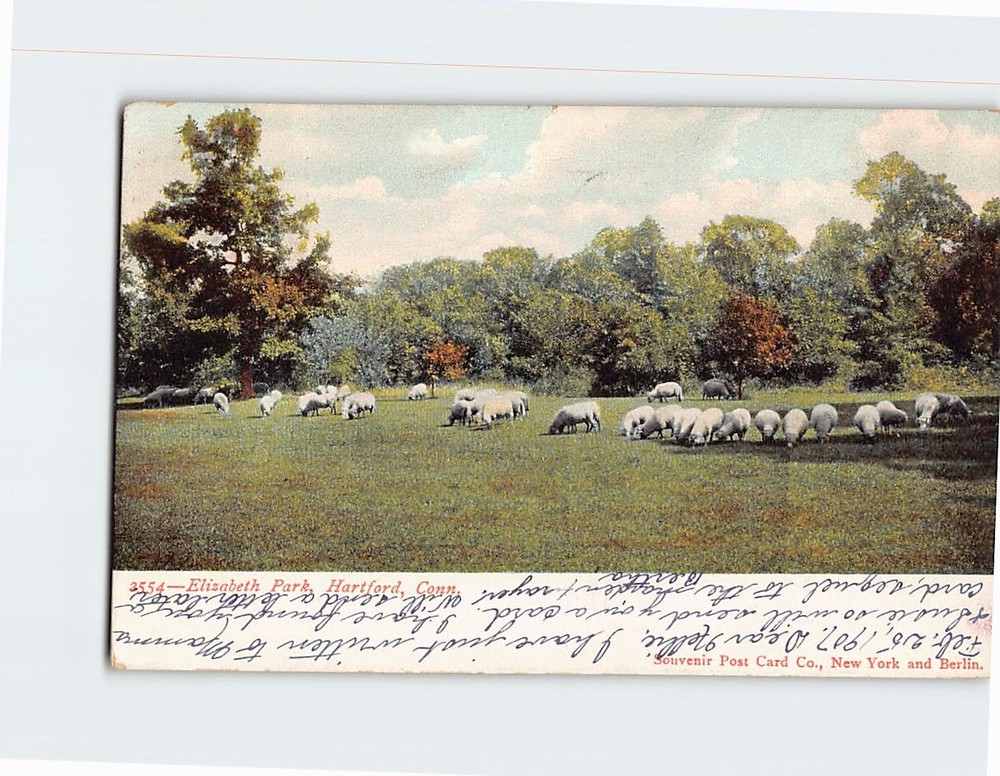 Postcard Elizabeth Park Hartford Connecticut USA