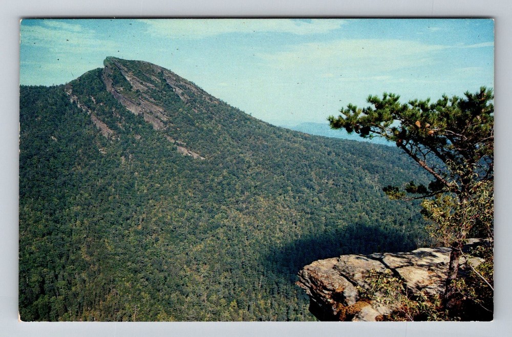 Linville, NC-North Carolina, Hawkbill Mountain Wiseman’s View Vintage Postcard
