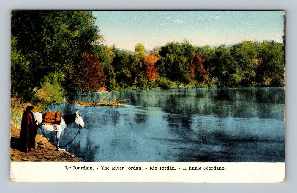 Israel- Scenic View Of The River Jordan Postal Old Card PC Vintage Postcard