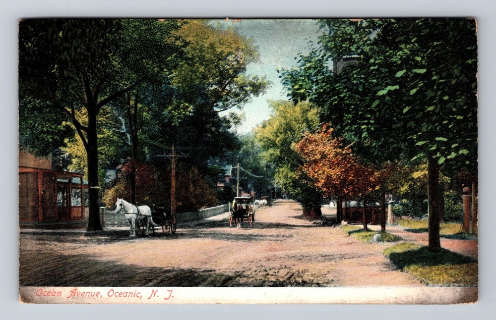 Oceanic NJ-New Jersey, Ocean Avenue, Monmouth County, Vintage c1909 Postcard