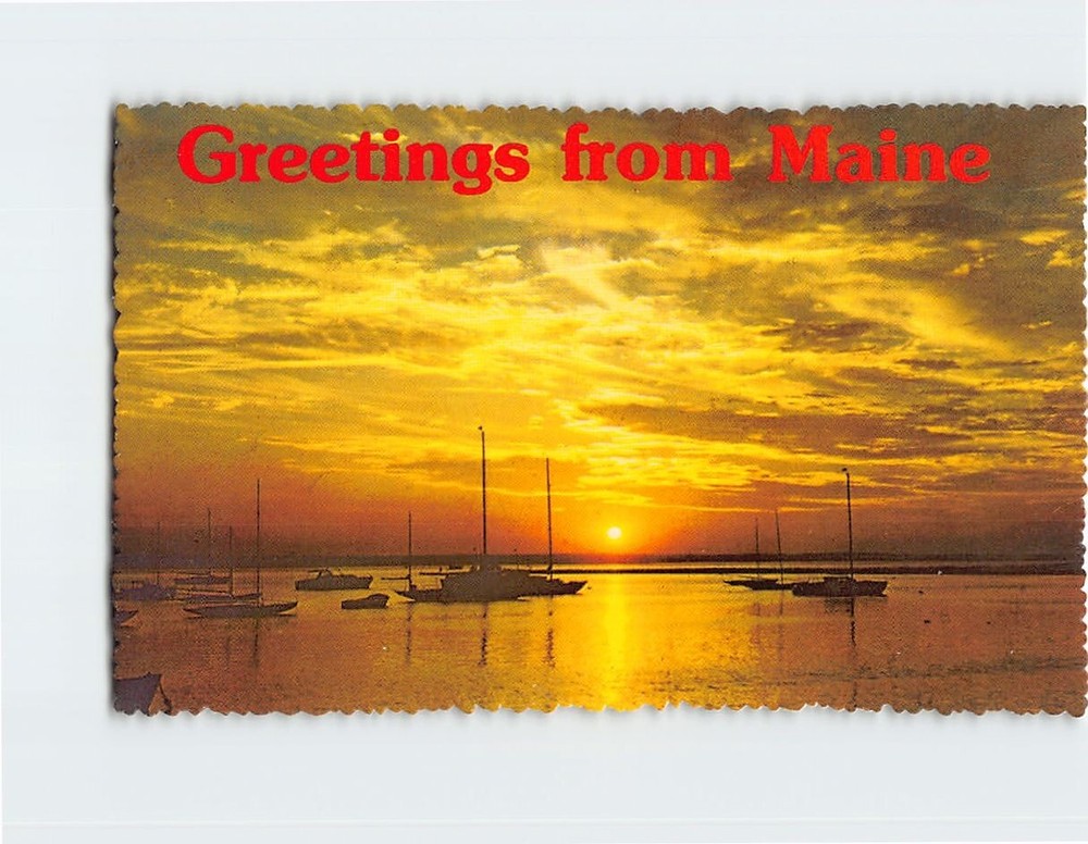 Postcard Sunset Greetings from Maine USA North America