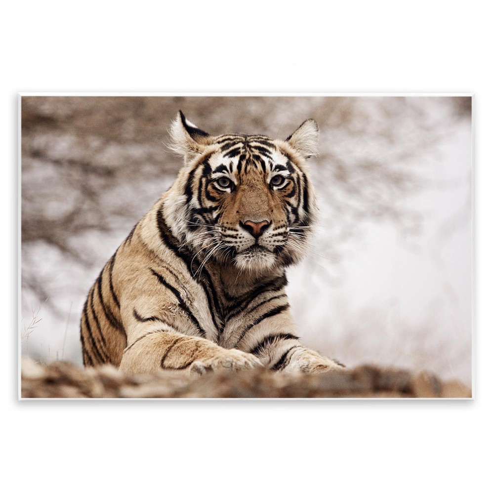 Strong Atop Hill Wall Plaque Art Design by Danita Delimont