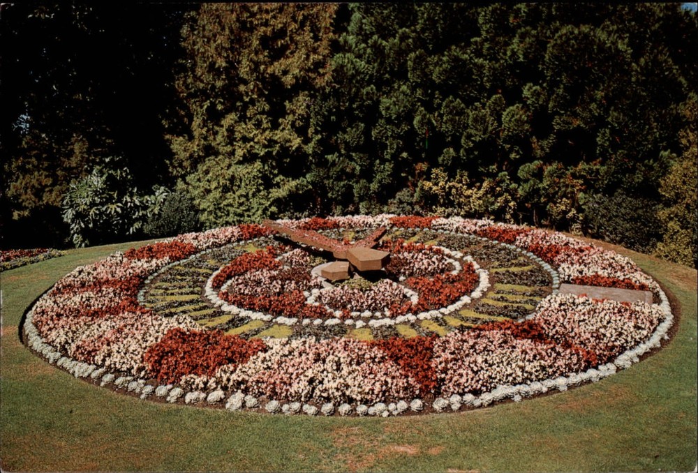 New Zealand Christchurch Floral Clock Map on back ~ unused postcard sku115