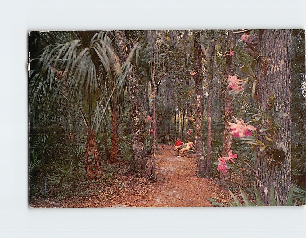 Postcard Weeki Wachee Orchid Gardens Florida USA North America