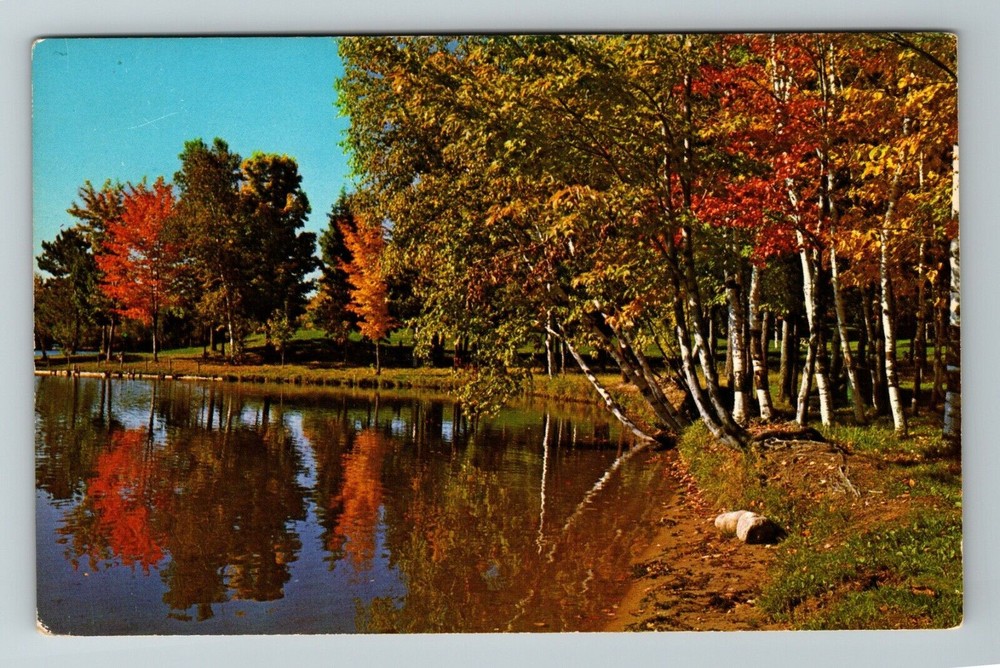 Mancelona MI-Michigan, Scenic Greetings, Nature View, Vintage Postcard