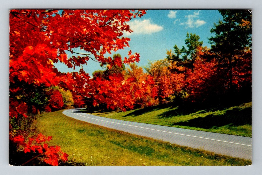 Blue Ridge Parkway, NC-North Carolina, Autumn Foliage Scenic Vintage Postcard