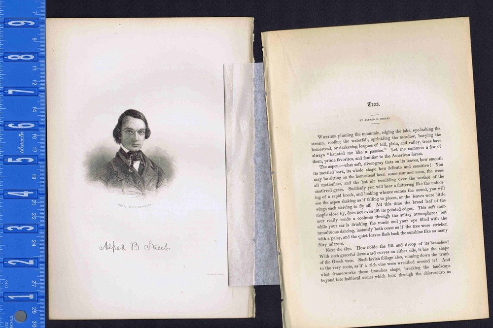 Alfred B. Street, American Author and Poet- 1855 Steel Engraved Print