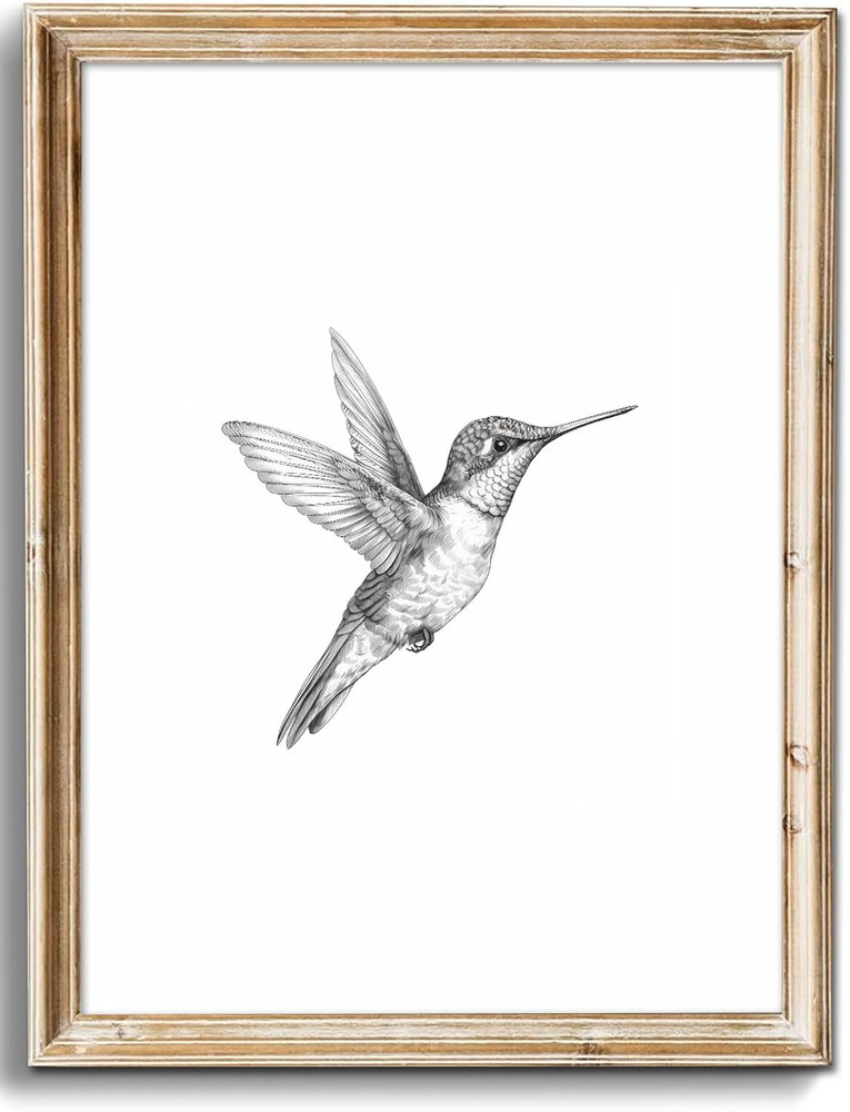 Vintage Wall Art Prints Farmhouse Decor Hummingbird Sketch Canvas Oil Painting B