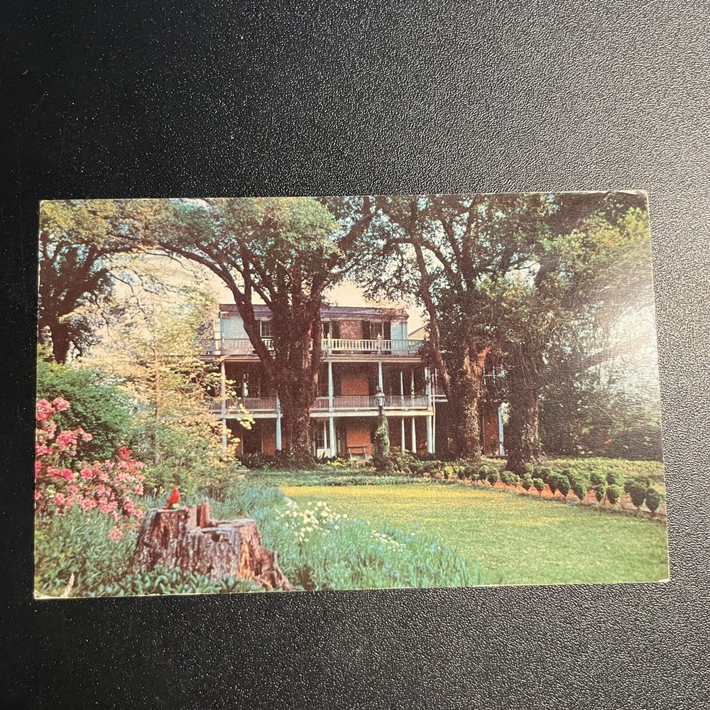 Natchez MS Mississippi The Elms Civil War Era Mansion Defunct Vintage Postcard