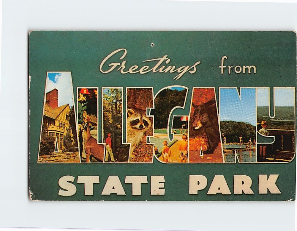 Postcard Greetings from Allegany State Park, New York