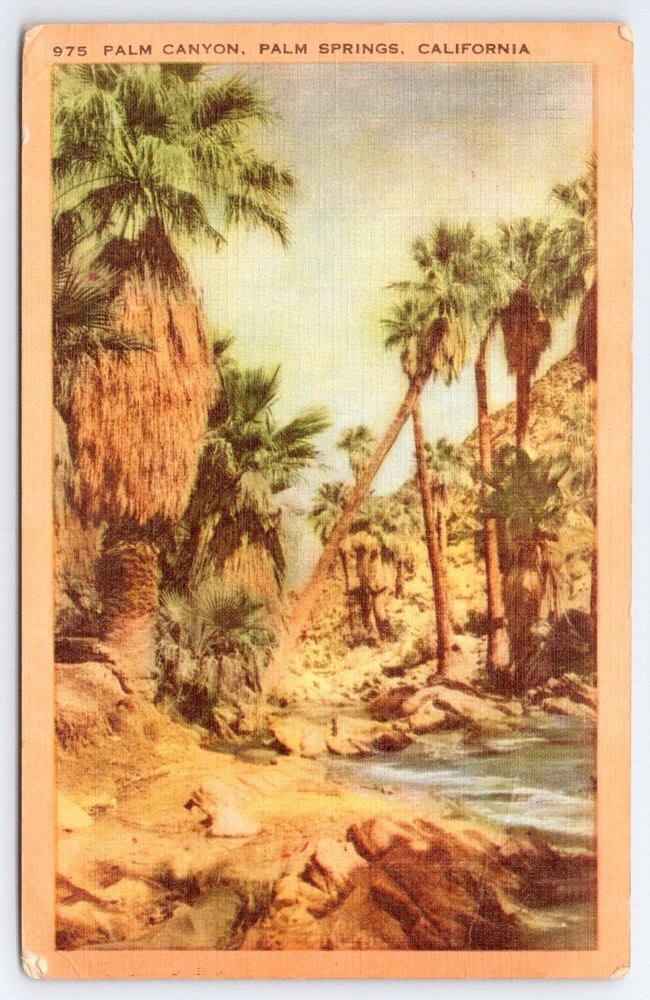 Vintage Palm Canyon Palm Springs California Linen Postcard 1949
