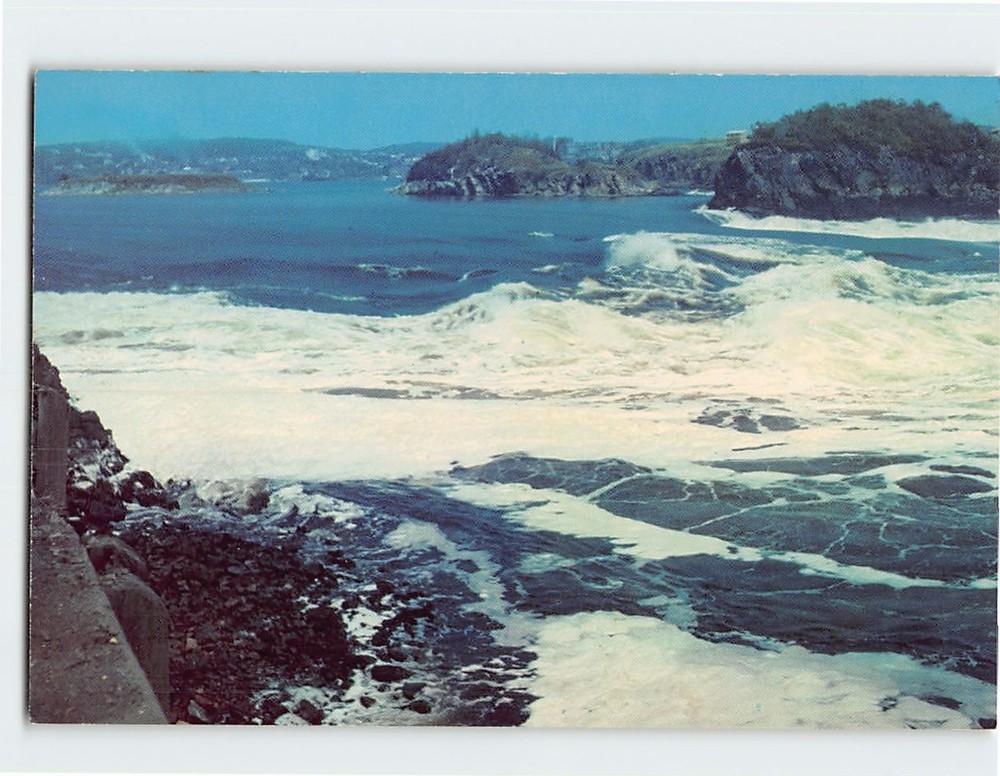 Postcard Reversing Falls St. John New Brunswick Canada