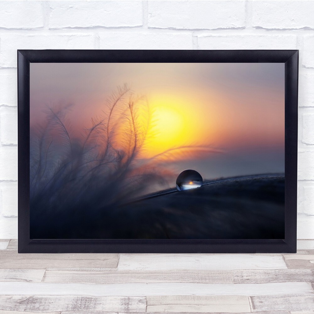 Soft Droplet Macro Sunrise Feather Water Drop Wall Art Print  