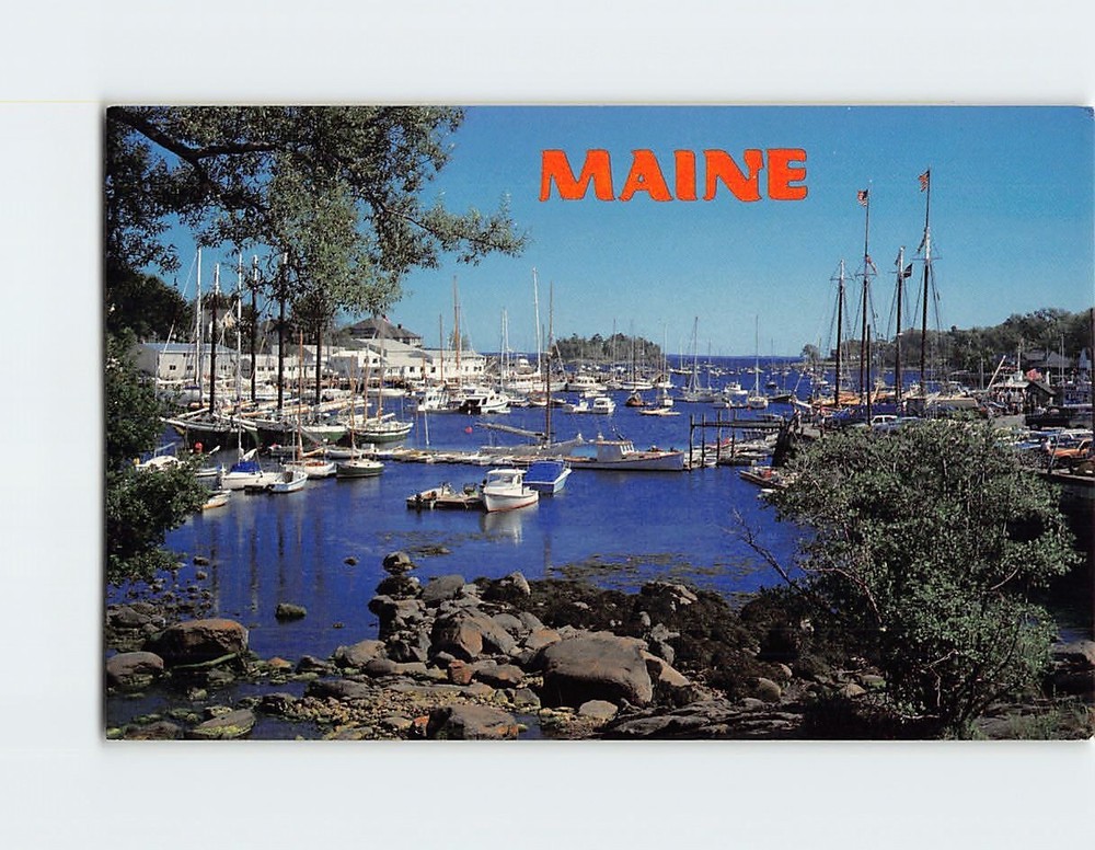 Postcard Scenic Harbor Camden Maine