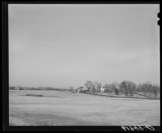 Photo:Kentucky Fayette County Bluegrass Horse Farm 1940s Landscape