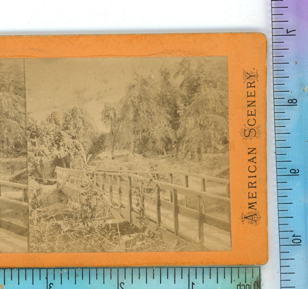 Luna Island Bridge Winter Niagara Falls Stereoview