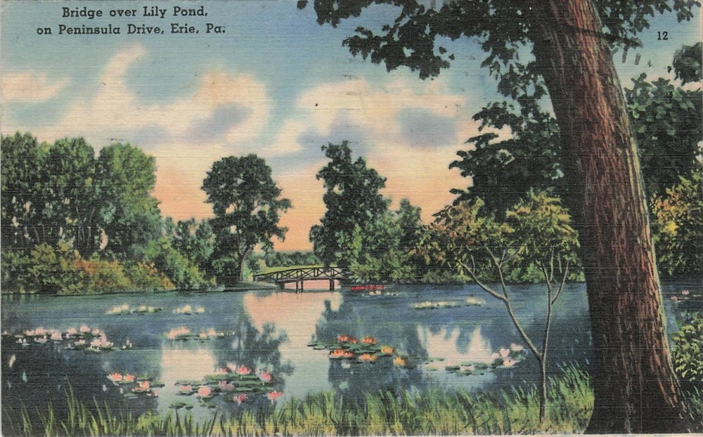 1940s Bridge over Lily Pond on Peninsula Drive Erie Pennsylvania Linen Postcard