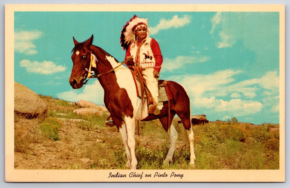 Native Americana~Color Photo Of Indian Chief On Pinto Pony~Vintage Postcard