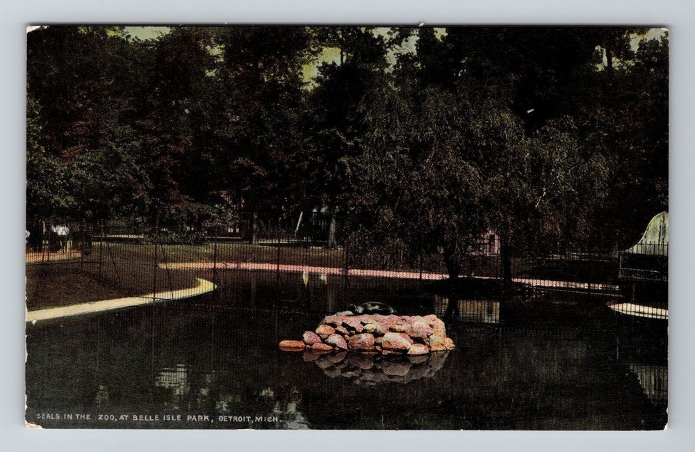 Detroit MI-Michigan, Seals in the Zoo, Belle Isle Park, Vintage Postcard