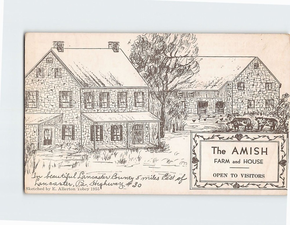 Postcard The Amish Farm and House Pennsylvania USA
