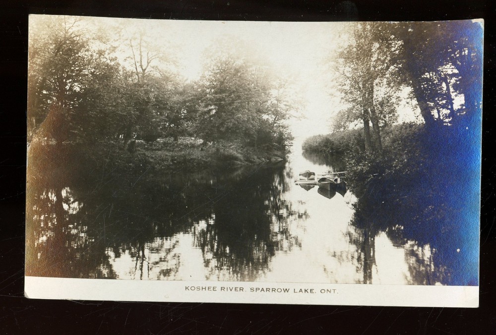 REAL PHOTO-Canada-Ontario- Sparrow Lake- Koshee River