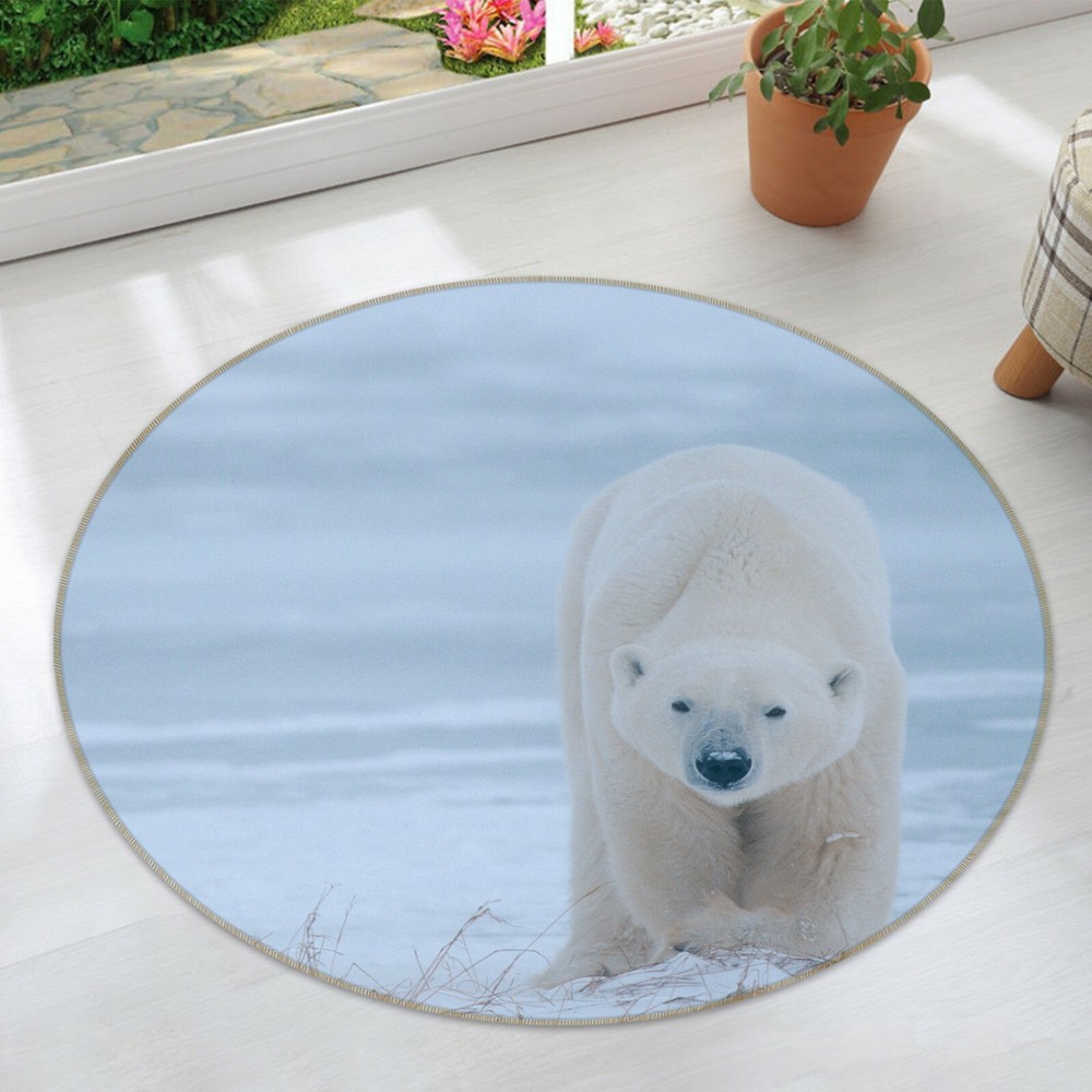 3D White Polar Bear Non-Slip Rug Mat Elegant Photo Carpet O1599