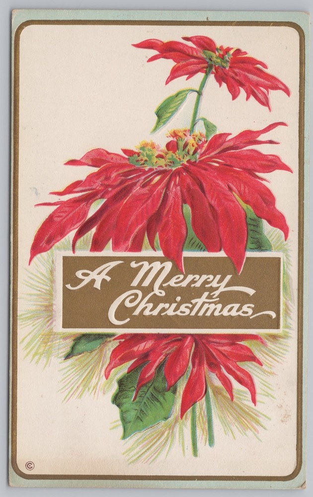 Holiday~Poinsettias~Gold Border & Leaf~Embossed Stecher Vintage Postcard