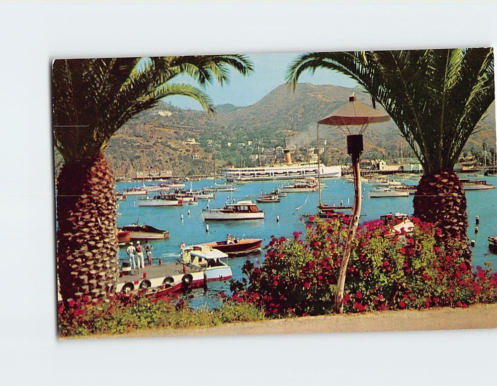 Postcard Avalon Bay From Casino Way Santa Catalina Avalon California USA