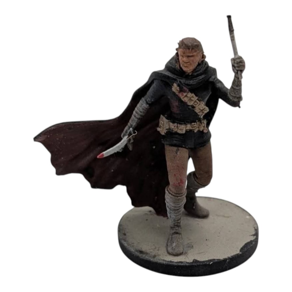 Dungeons and Dragons 28mm Rogue Miniature Painted