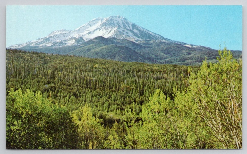 Vintage Mt. Shasta California Eastman's Studio Chrome Postcard Scenic