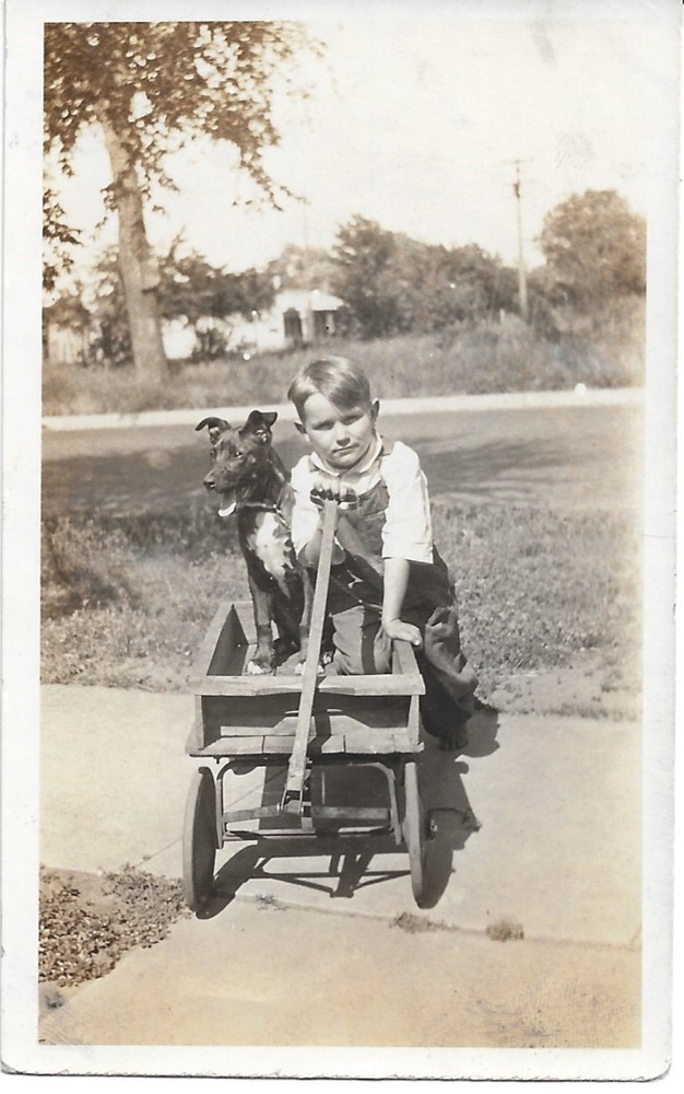 Vintage photograph small boy in a wagon with a dog in a neighborhood on sidewalk