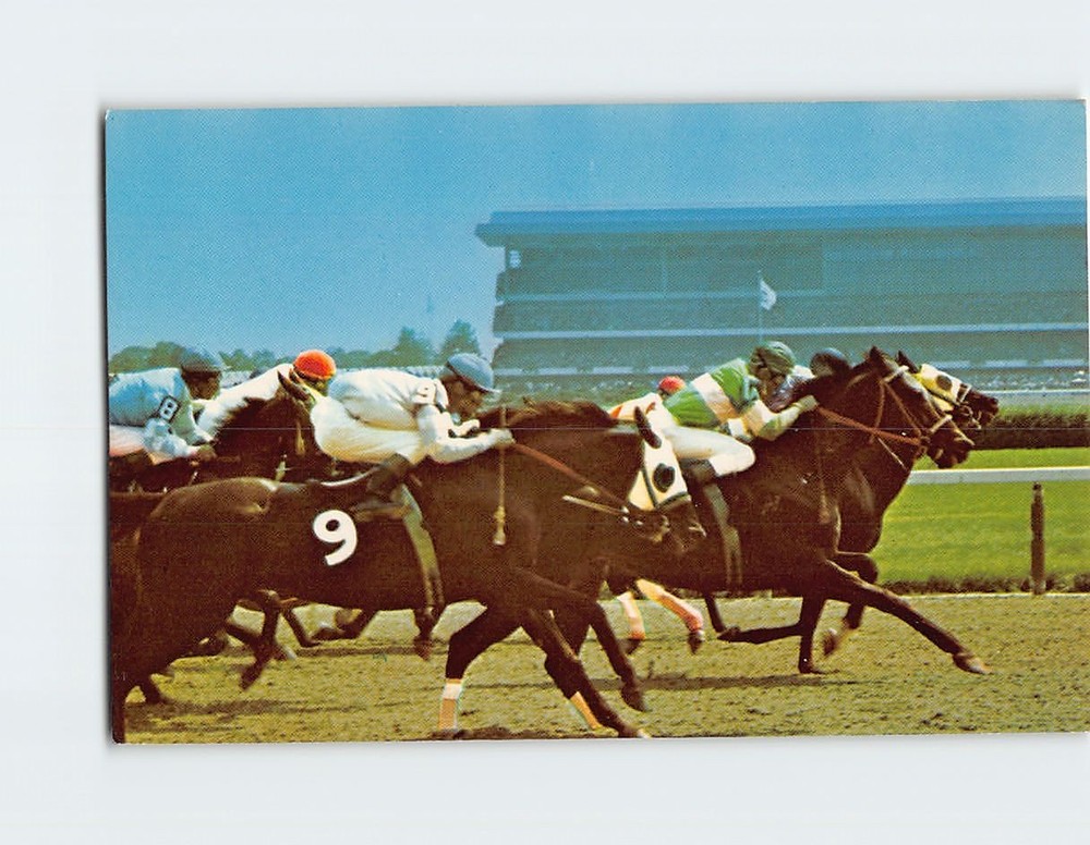 Postcard Belmont Park Elmont Long Island New York USA