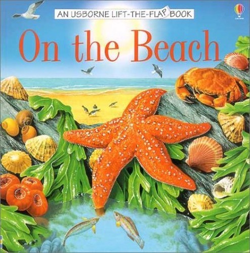 On the Beach (Usborne Life-The-Flap B..., Howell, Laura
