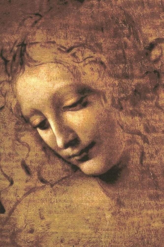 Head of a Woman by Leonardo da Vinci Journal