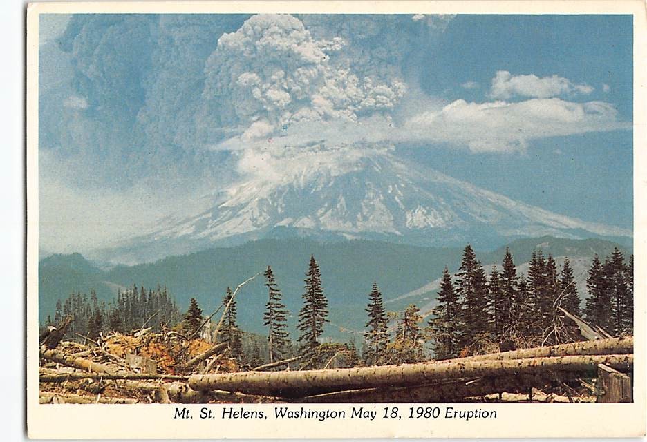 Postcard Mt. St. Helens Washington USA