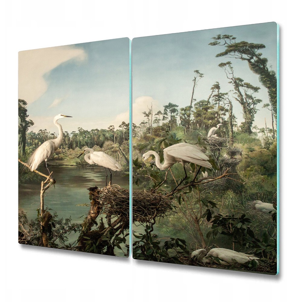 Tempered Glass Worktop protector New Zealand Birds Art Painting 2x30x52