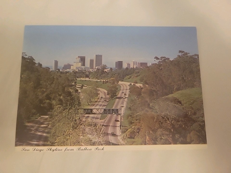 San Diego Skyline From Balboa Park Postcard - Vintage