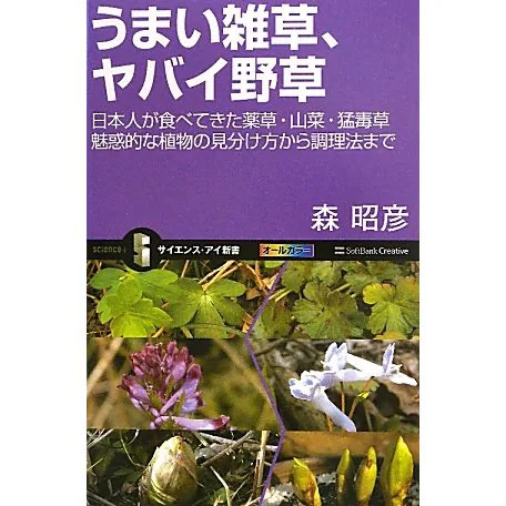 Wild Plants Medicinal Herbs Dangerous Edible Weeds Japan