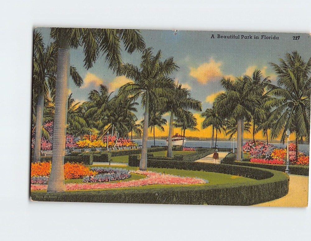 Postcard Beautiful Bayfront Park in Florida USA