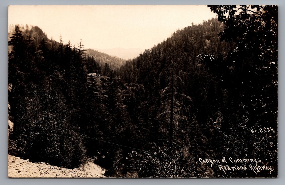 Canyon Redwood Highway US 101 Cummings California CA RPPC Photo Postcard 1950s