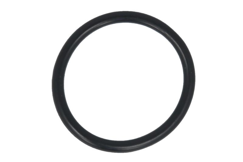Intake manifold gasket for BERLINGO MULTISPACE