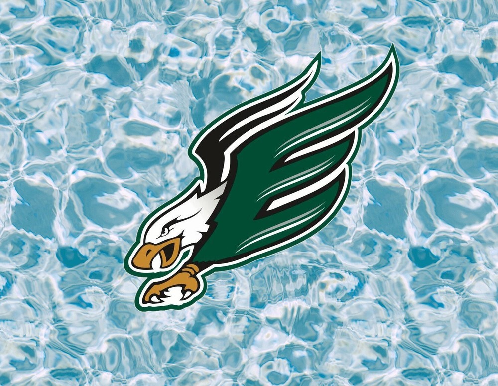 Original Eagles 100% waterproof image sticker - Several Sizes