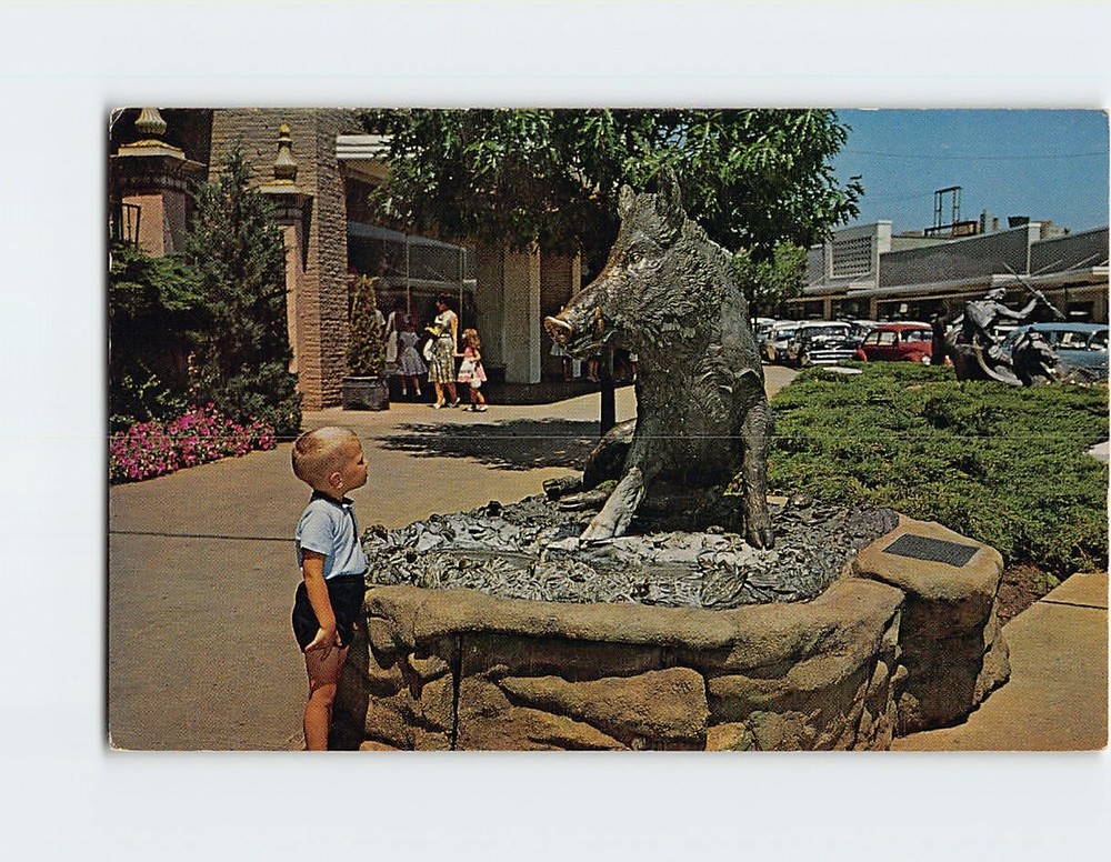Postcard Wild Boar Good Luck Fountain Kansas City Missouri USA