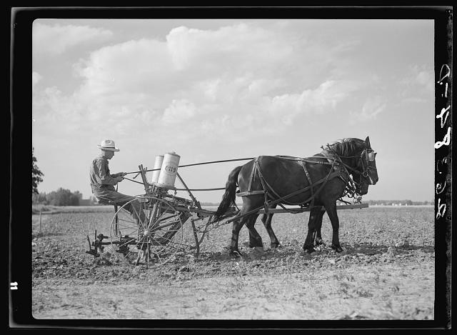 Photo:Indiana Wabash Farms 1938 Corn Cultivation Horse-Drawn Cultivator