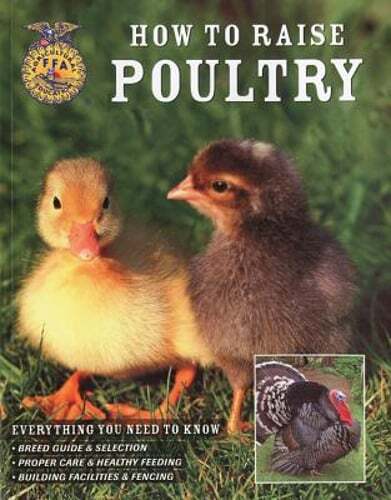 How to Raise Poultry: Everything You Need to Know by Christine Heinrichs: Used