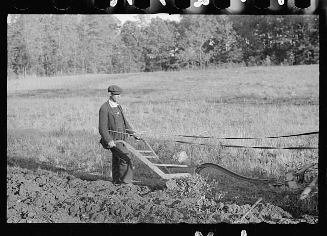 Photo:Enfield North Carolina 1938 Man Plowing Field Roanoke Farms