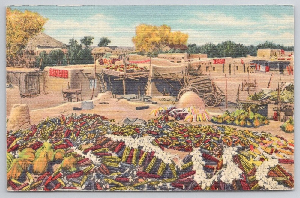 Harvest Time Santa Clara Indian Pueblo New Mexico Linen Postcard Curteich