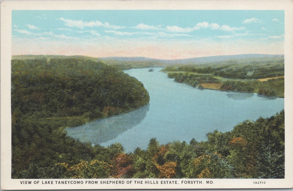 Missouri~View Much Of Lake Taneycomo & Far Horizon~Forsyth MO~Vintage Postcard