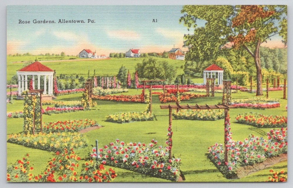 Rose Gardens Allentown PA Postcard Linen Vintage Mebane Greeting Card Co.
