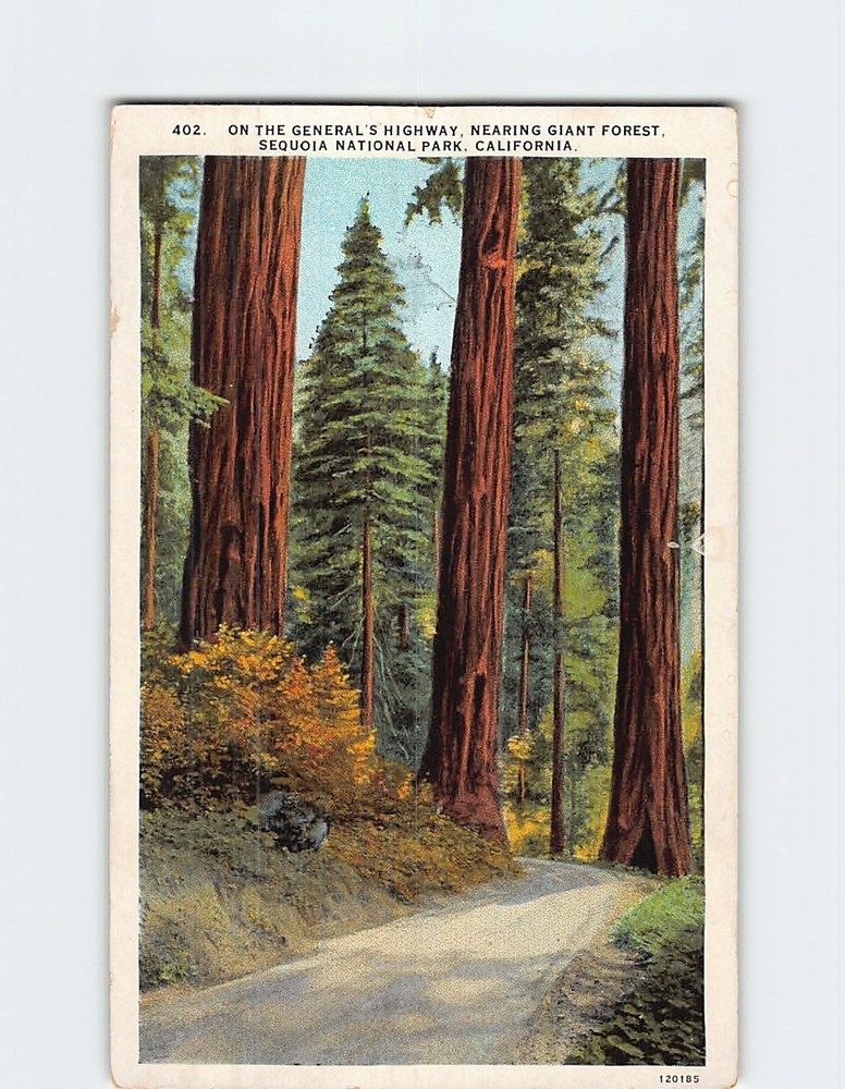 Postcard General's Highway Sequoia National Park California USA